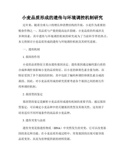 小麦品质形成的遗传与环境调控机制研究