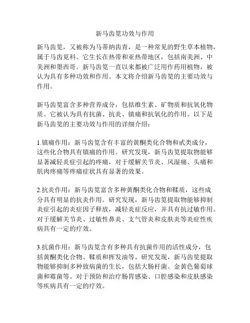 新马齿笕功效与作用