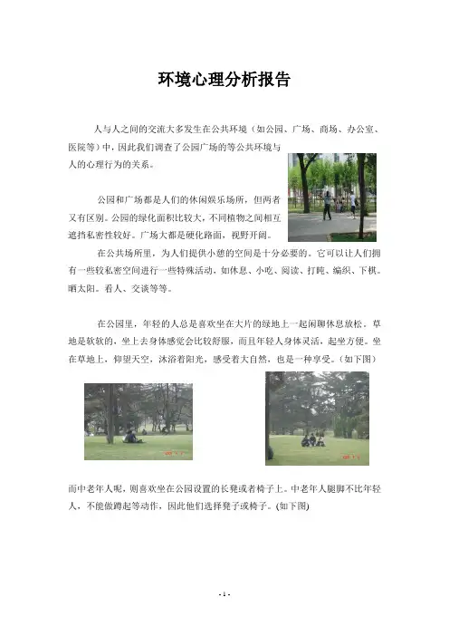 环境心理分析报告
