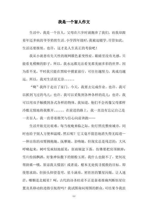 我是一个盲人作文