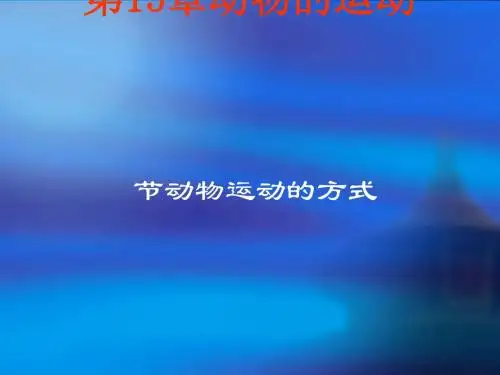 动物运动的方式PPT课件
