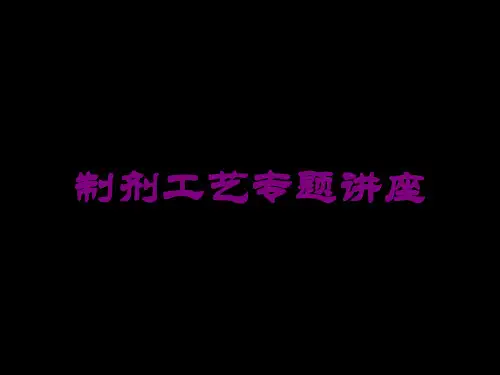 制剂工艺专题讲座培训课件
