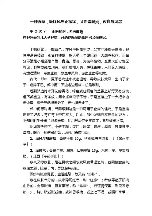 一种野草，既除风热止瘙痒，又治胃肠炎，夜盲与风湿