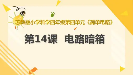 第14课电路暗箱(教学课件)(共25张)四年级科学上册同步高效课堂系列(苏教版)