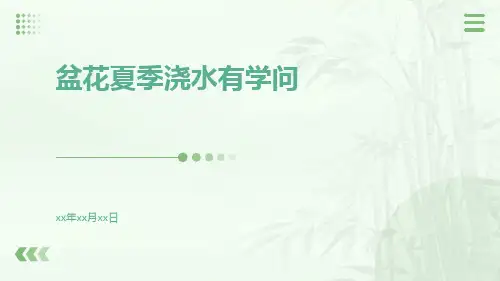盆花夏季浇水有学问