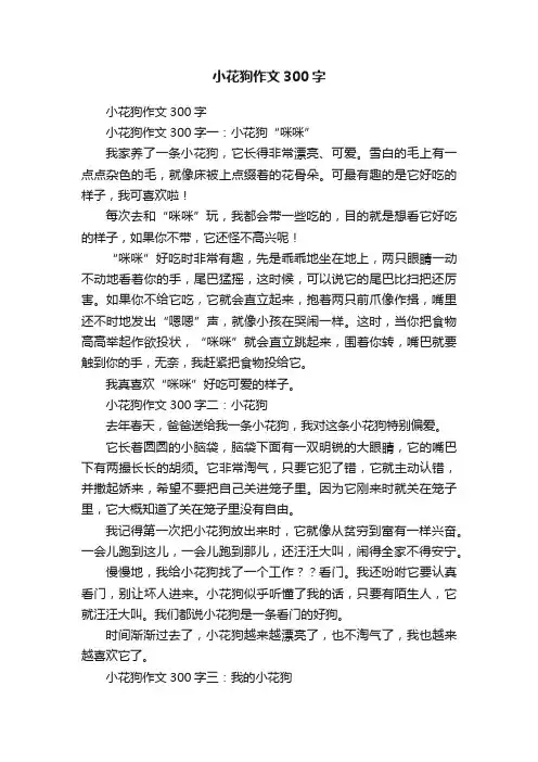 小花狗作文300字