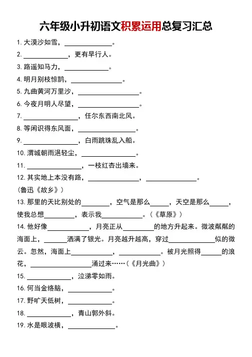 六年级小升初语文积累运用总复习汇总