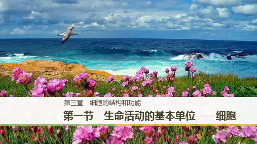 高中生物苏教版必修一课件：3.1 生命活动的基本单位——细胞