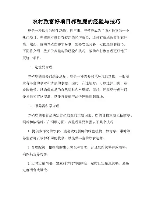 农村致富好项目养殖鹿的经验与技巧