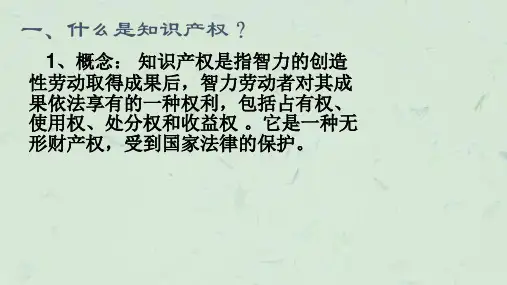 知识产权及其保护最新课件.ppt
