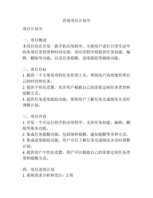 咨询项目计划书