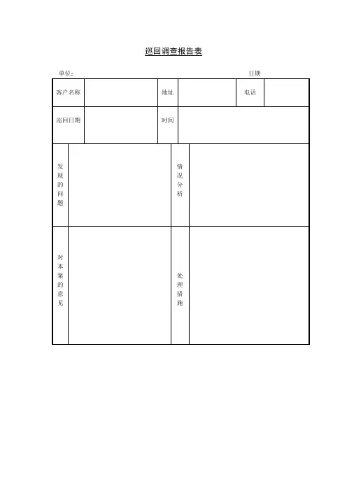 巡回调查报告表格式
