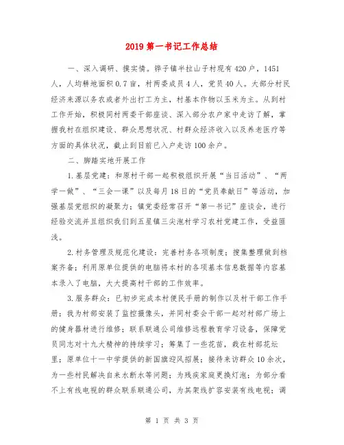 2019第一书记工作总结