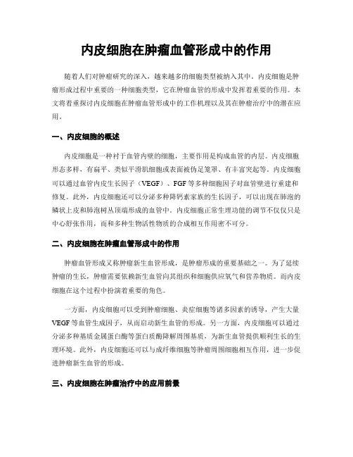 内皮细胞在肿瘤血管形成中的作用