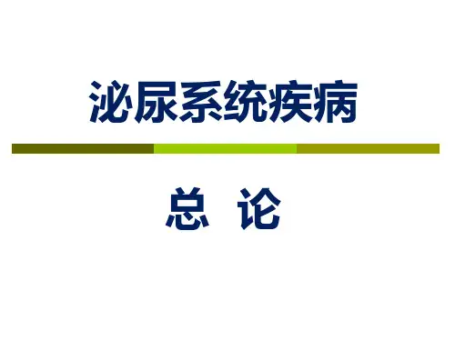泌尿系统疾病总论PPT