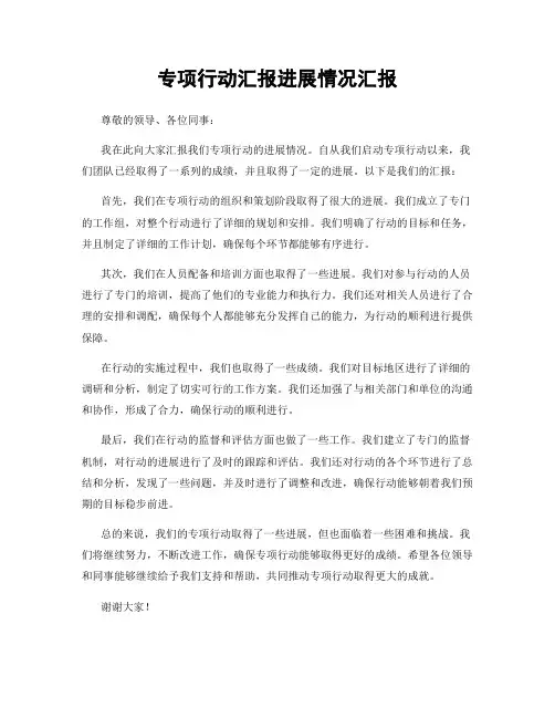 专项行动汇报进展情况汇报