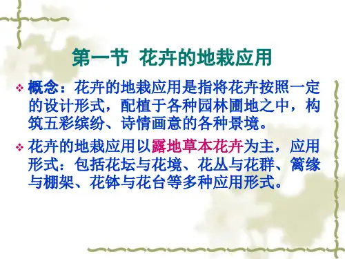 盛花花坛概念