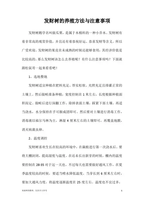 发财树的养殖方法与注意事项