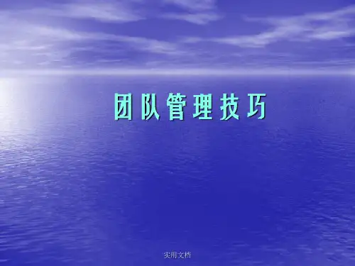 《团队管理技巧》PPT课件