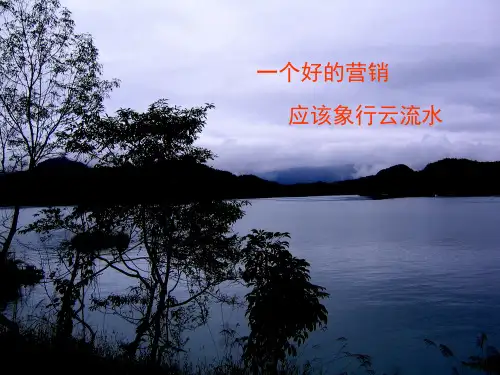 渠道设计案例.ppt