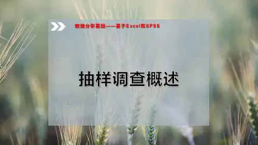 抽样调查概述PPT模板