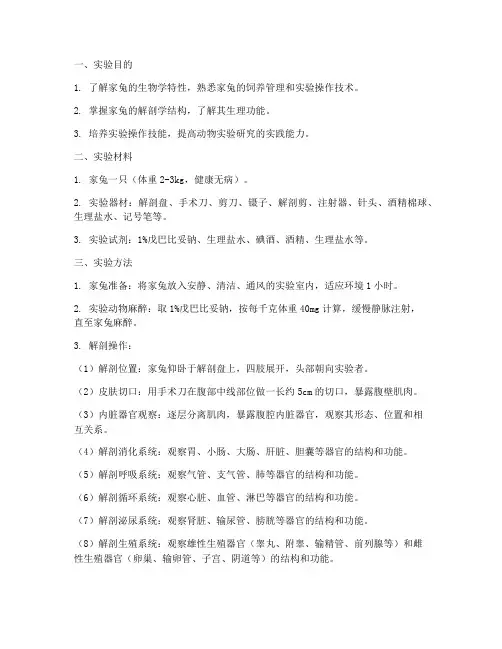 家兔动物实验报告