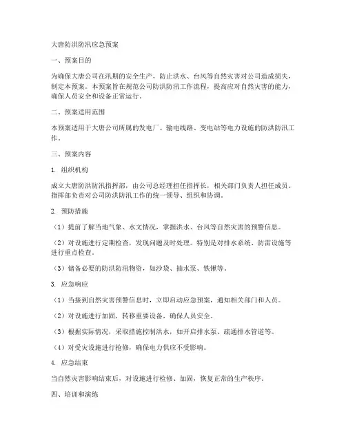大唐防洪防汛应急预案范文