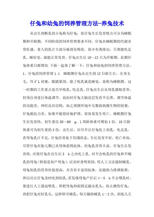 仔兔和幼兔的饲养管理方法 - 养兔技术