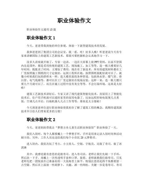职业体验作文