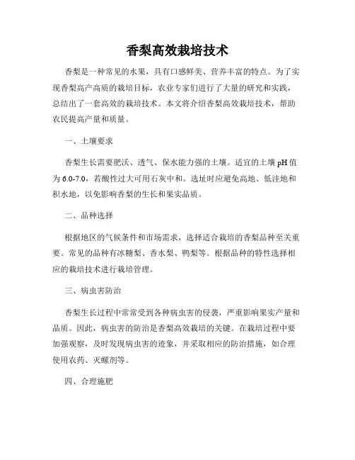 香梨高效栽培技术