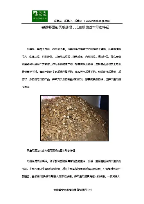 安徽哪里能买瓜蒌根,瓜蒌根的基本形态特征