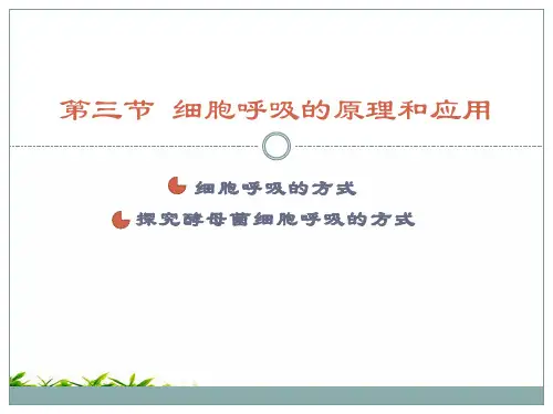 新教材人教版生物《细胞呼吸的原理和应用》PPT课件下载1