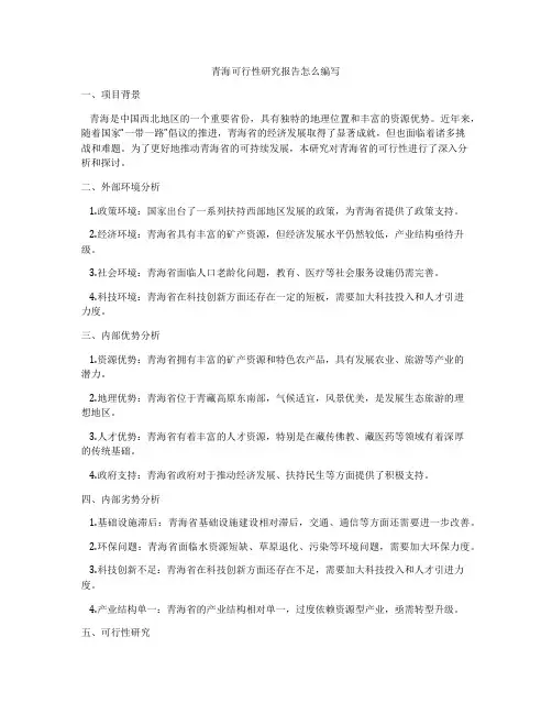 青海可行性研究报告怎么编写