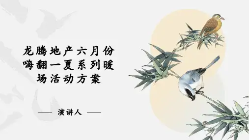 龙腾地产六月份嗨翻一夏系列暖场活动方案