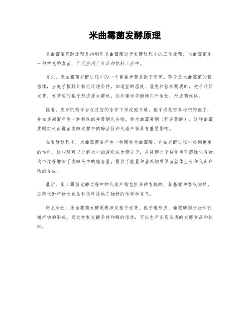 米曲霉菌发酵原理