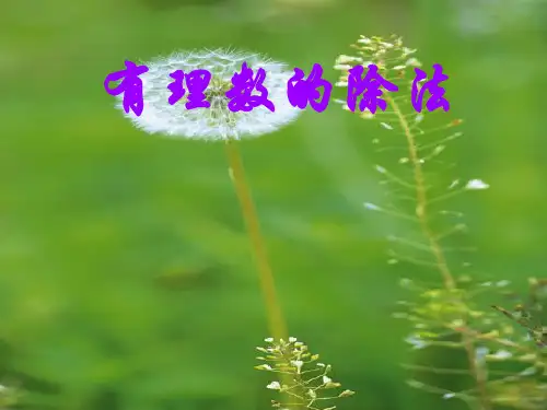有理数的除法ppt课件一[1] 3