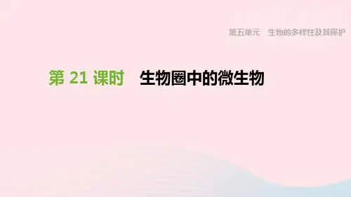 人教版 中考生物专题复习：5生物的多样性及其保护第21课时生物圈中的微生物