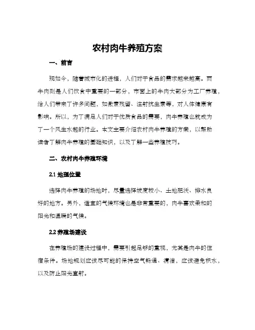 农村肉牛养殖方案