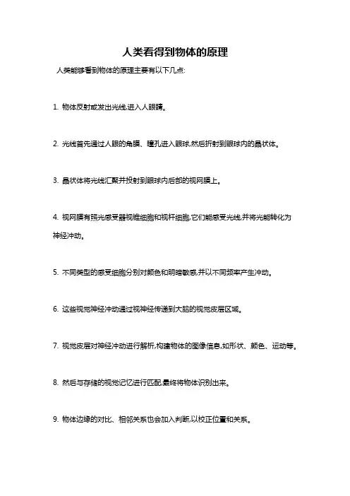 人类看得到物体的原理
