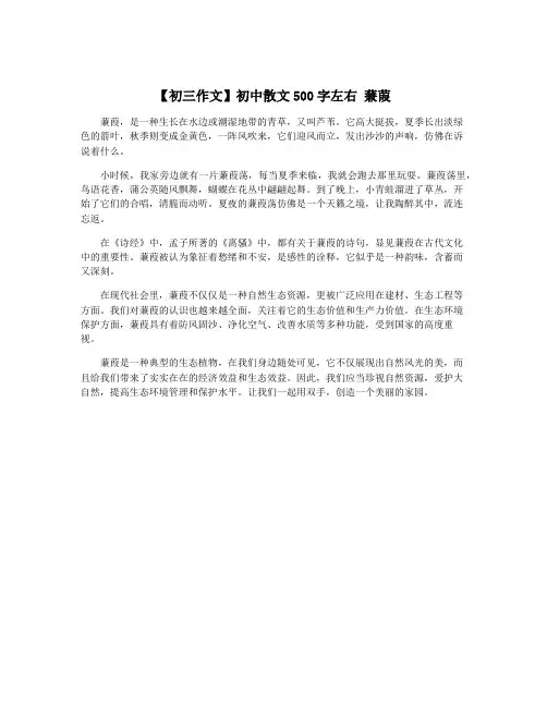 【初三作文】初中散文500字左右 蒹葭