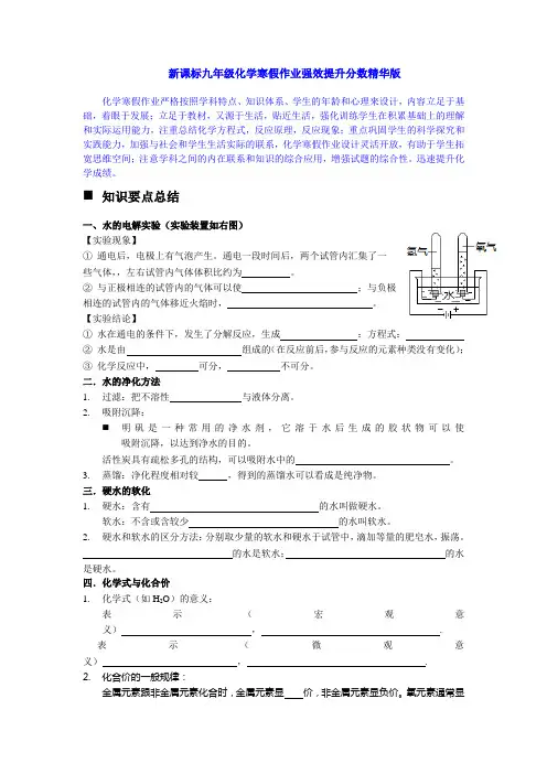 新课标九年级化学寒假作业强效提升分数精华版 (9)