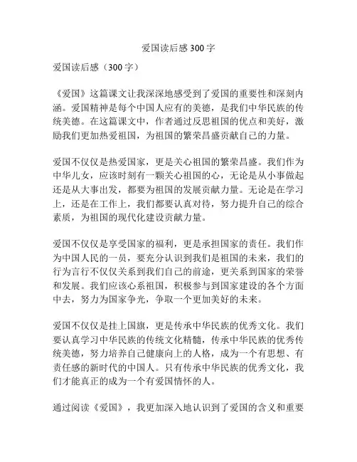爱国读后感300字