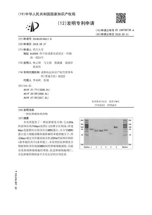 【CN109793750A】一种抗肿瘤纳米药物【专利】