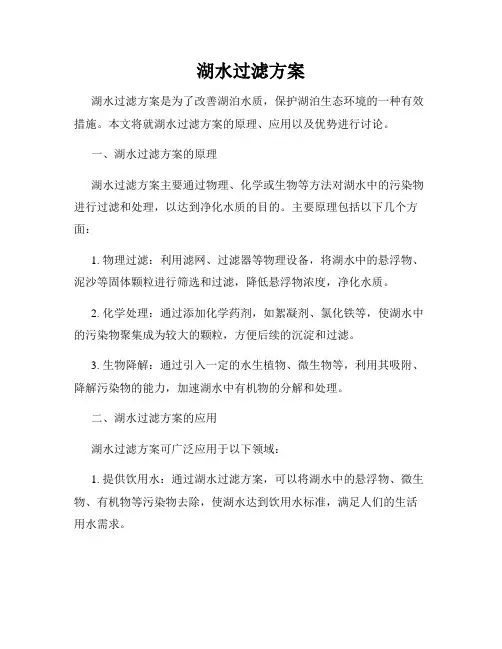 湖水过滤方案