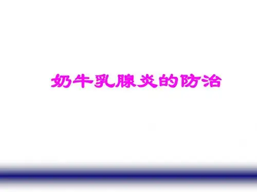 奶牛乳腺炎的防治 PPT课件