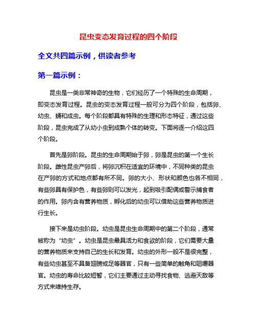 昆虫变态发育过程的四个阶段