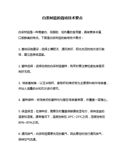 白茶树菇的栽培技术要点