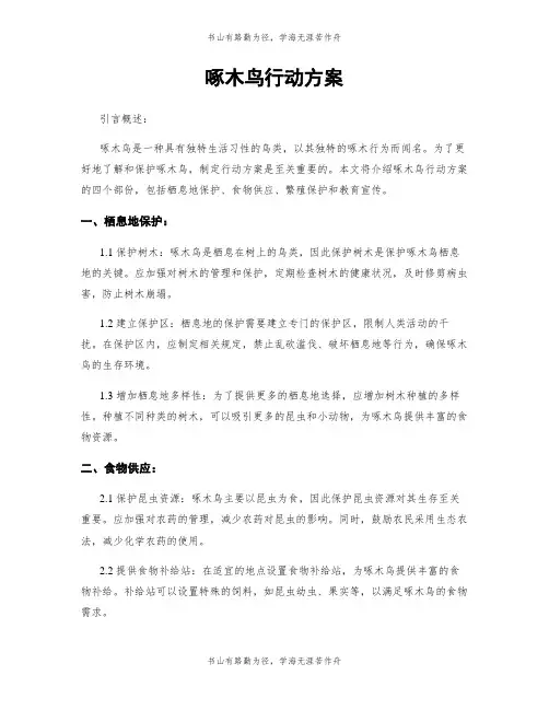 啄木鸟行动方案