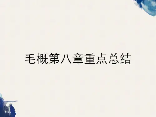 毛概第八章重点总结