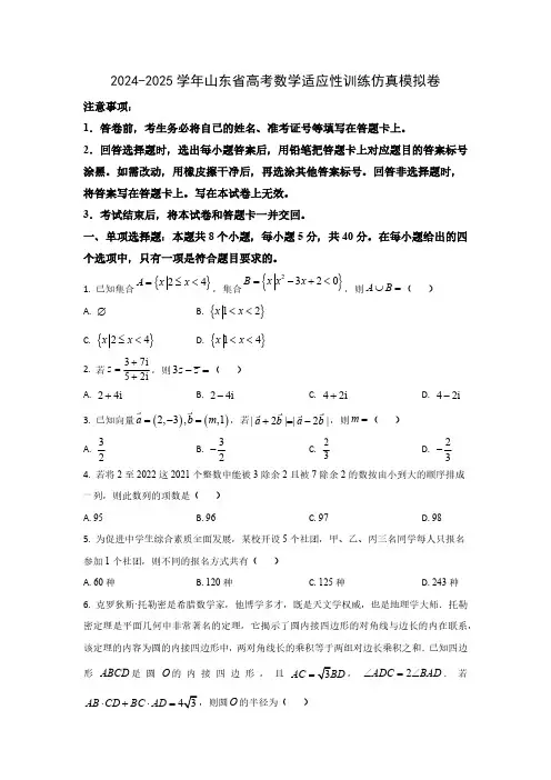 2024-2025学年山东省高考数学适应性训练仿真模拟卷